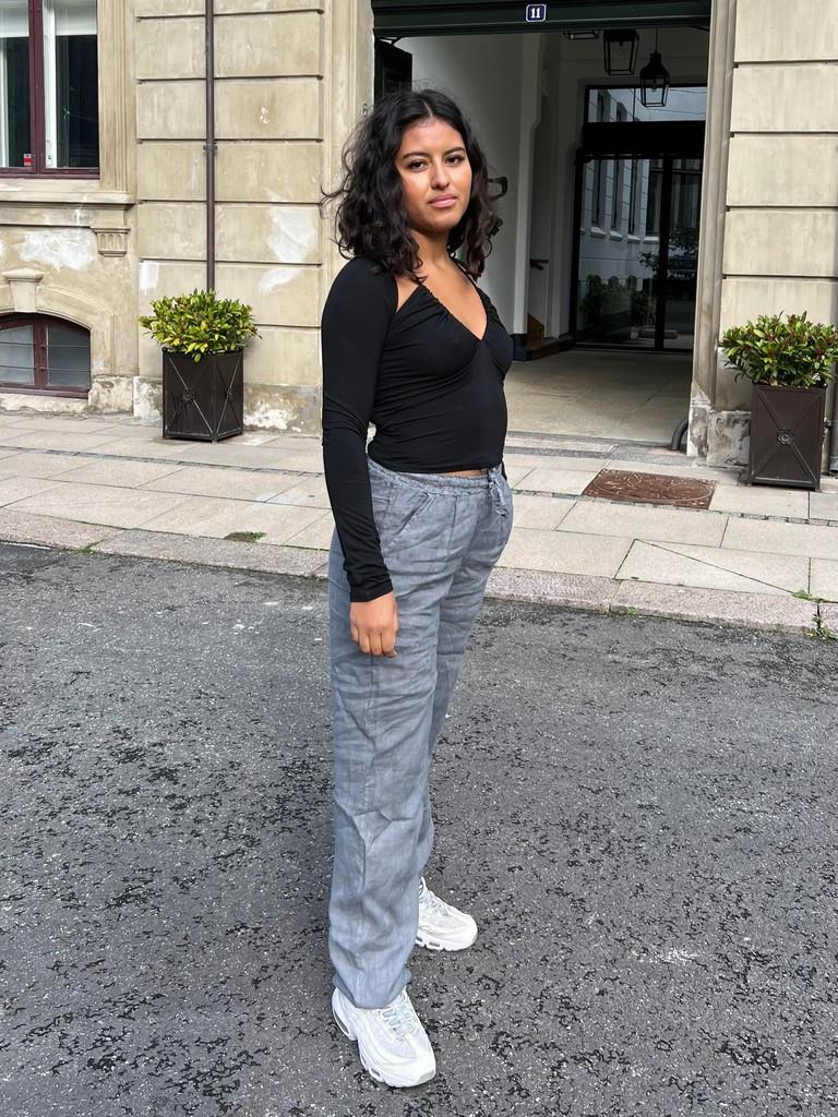 Aino linen pants -  grey